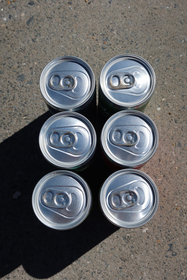 Discovery box - 24 pack